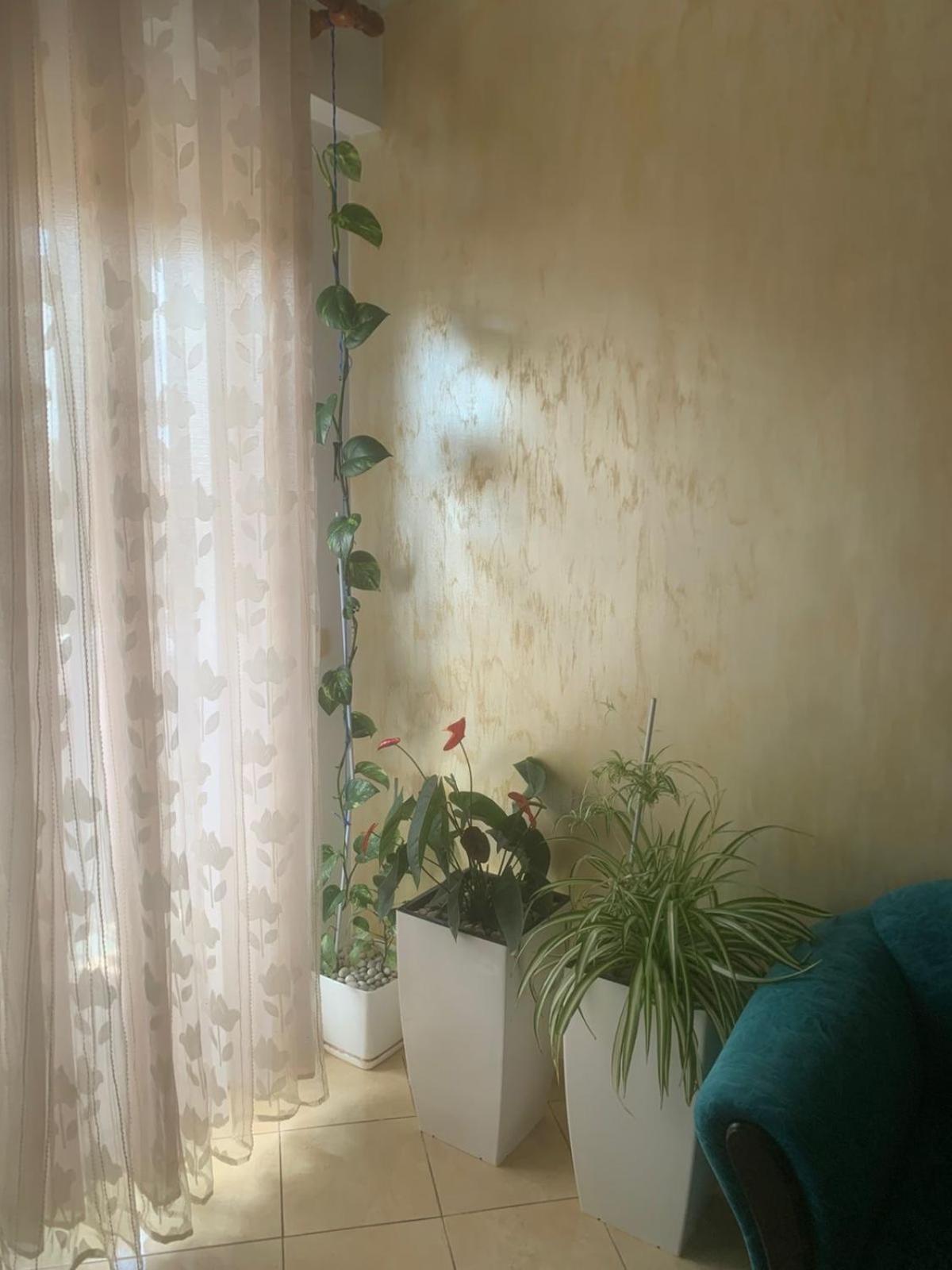Guest House Fier Appartement